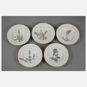 Kopenhagen fünf Suppenteller Kräuterdekor