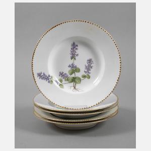 Kopenhagen fünf Suppenteller Kräuterdekor