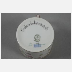 Kopenhagen Mokkatasse mit Untertasse "Flora Danica"