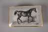 KPM Berlin Deckeldose mit Pferdemotiv