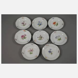 Meissen Speiseservice "Blume 1"