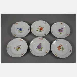 Meissen Speiseservice "Blume 1"