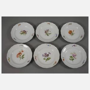 Meissen Speiseservice "Blume 1"