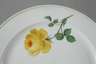 Meissen sechs Kuchenteller "Gelbe Rose"