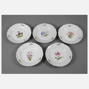 Meissen fünf Speiseteller "Blume 1"