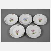Meissen fünf Speiseteller "Blume 1"111