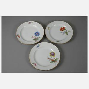 Meissen sechs Speiseteller "Blume 2 schräg"