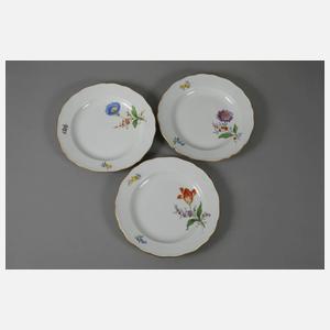 Meissen sechs Speiseteller "Blume 2 schräg"