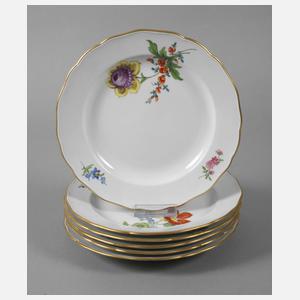 Meissen sechs Speiseteller "Blume 2 schräg"