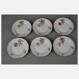 Meissen Kaffeeservice "Blume 3 schräg"