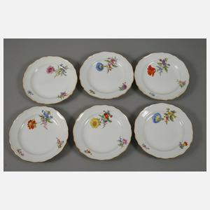 Meissen Kaffeeservice "Blume 3, schräg"