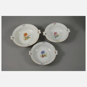 Meissen Speiseservice "Blume 3"