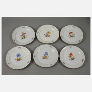 Meissen Speiseservice "Blume 3"