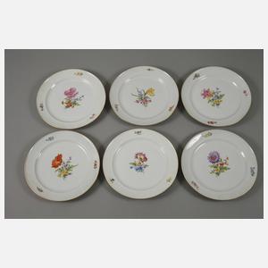 Meissen Speiseservice "Blume 3"