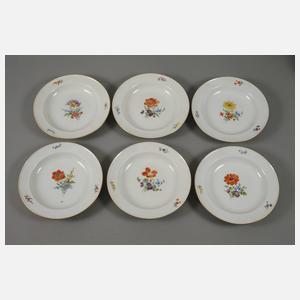 Meissen Speiseservice "Blume 3"