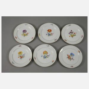 Meissen Speiseservice "Blume 3"