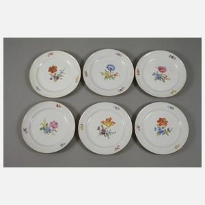 Meissen Speiseservice "Blume 3"