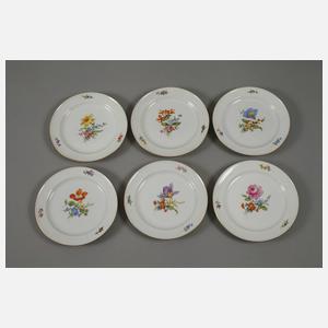 Meissen Speiseservice "Blume 3"