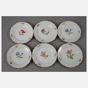 Meissen Kaffeeservice "Blume 1"