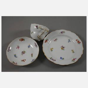 Meissen Kaffeeservice Streublümchendekor