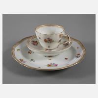 Meissen Gedeck "Gestreute Bukettchen mit Insekten"111