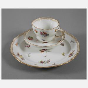 Meissen Gedeck "Gestreute Bukettchen mit Insekten"