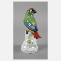 Meissen "Papagei auf Stamm"111