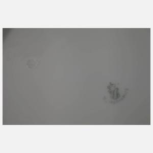 Nymphenburg Speiseservice mit Adelswappen