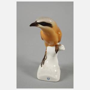 Nymphenburg "Würger (Neuntöter)"