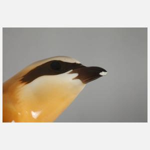 Nymphenburg "Würger (Neuntöter)"