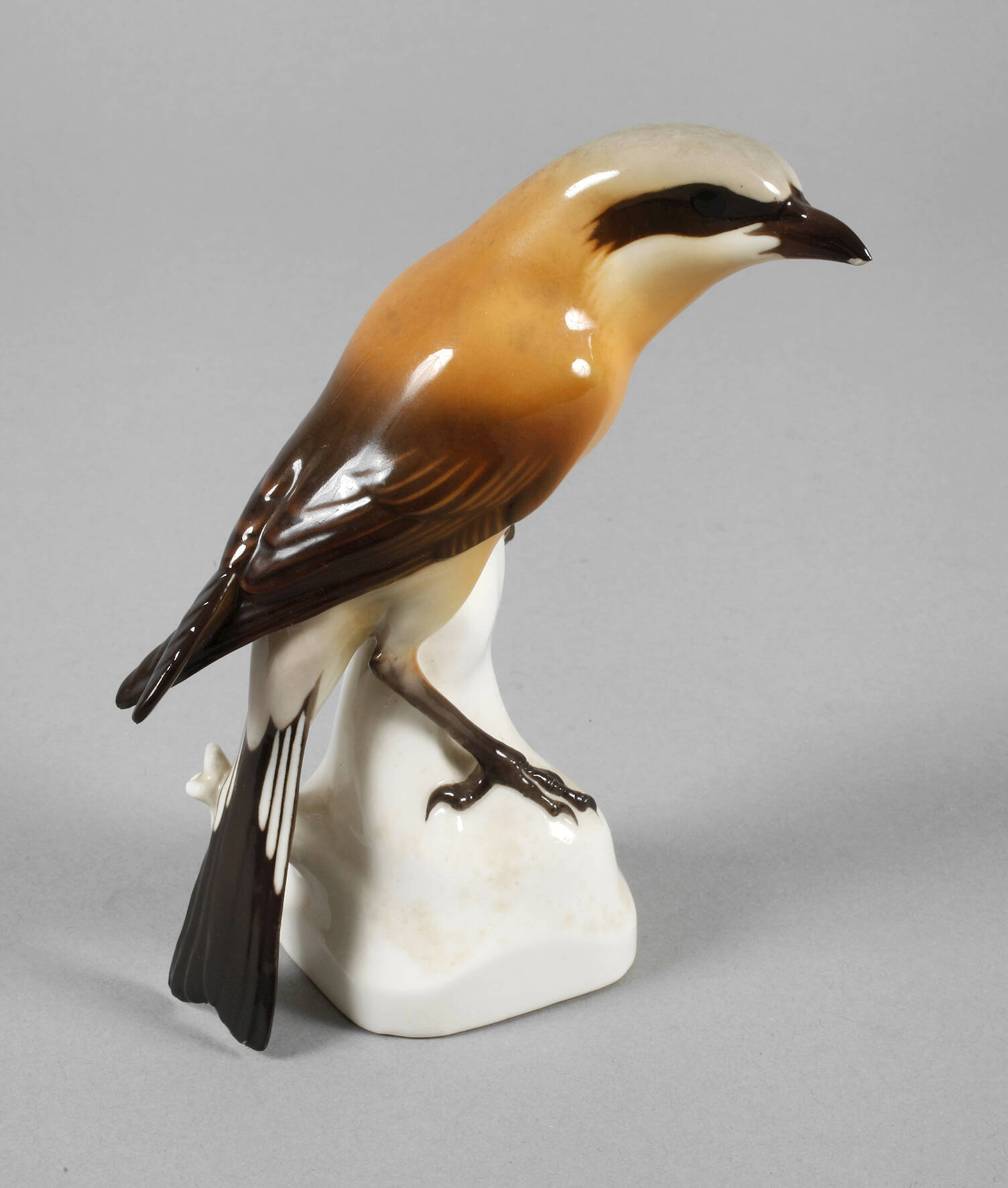 Nymphenburg "Würger (Neuntöter)"