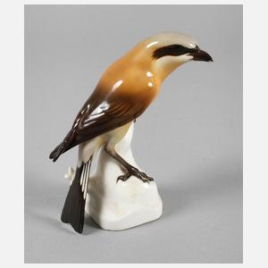 Nymphenburg "Würger (Neuntöter)"