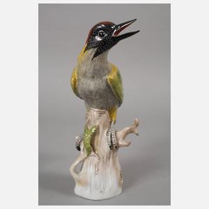 Potschappel Grünspecht