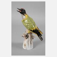 Potschappel Grünspecht111