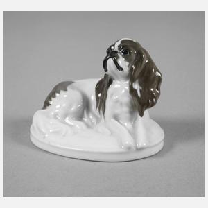 Rosenthal kleiner "King Charles-Hund"
