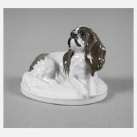 Rosenthal kleiner "King Charles-Hund"111