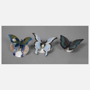 Rosenthal/Fraureuth drei Schmetterlinge
