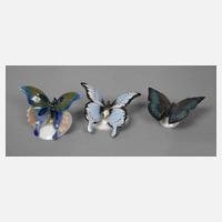 Rosenthal/Fraureuth drei Schmetterlinge111