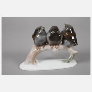 Rosenthal Konvolut Vögel