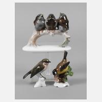 Rosenthal Konvolut Vögel111