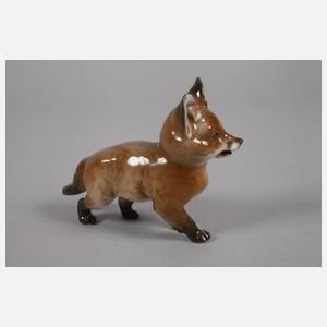 Rosenthal drei Fuchswelpen