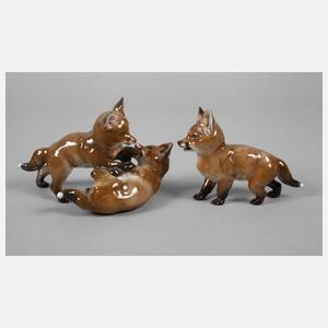 Rosenthal drei Fuchswelpen