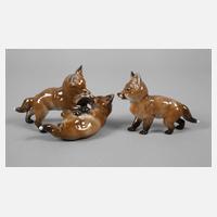 Rosenthal drei Fuchswelpen111