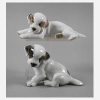 Rosenthal zwei Hundewelpen111