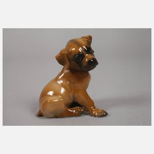 Rosenthal zwei Hundewelpen
