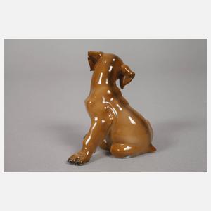 Rosenthal zwei Hundewelpen