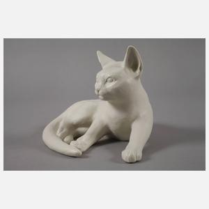 Rosenthal Katze
