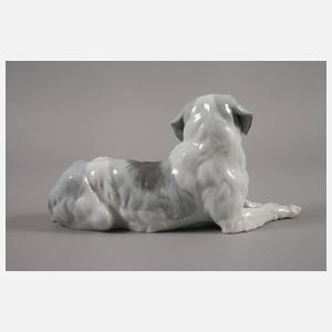 Thüringen Berner Sennenhund