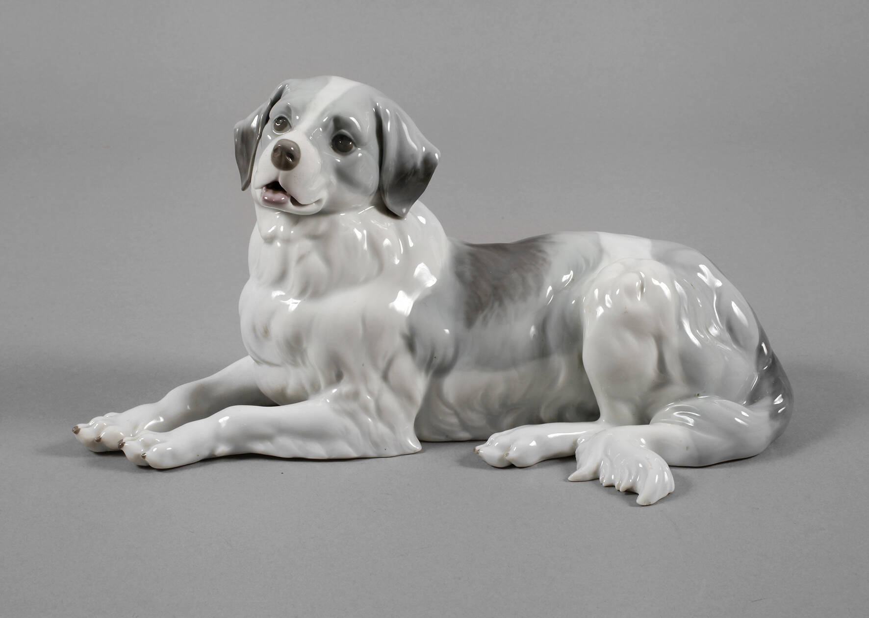 Thüringen Berner Sennenhund