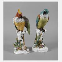 Thüringen Paar große Papageien111